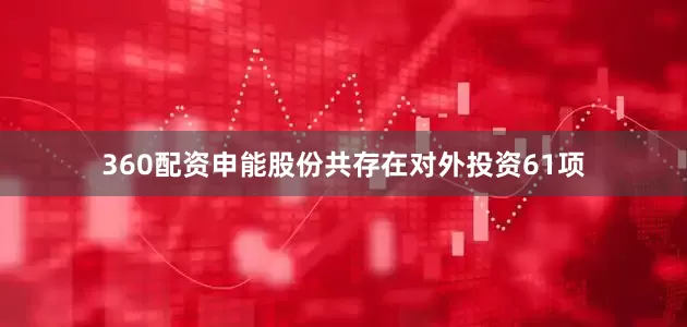 360配资申能股份共存在对外投资61项