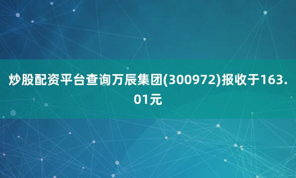 炒股配资平台查询万辰集团(300972)报收于163.01元
