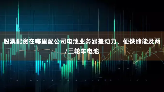 股票配资在哪里配公司电池业务涵盖动力、便携储能及两/三轮车电池